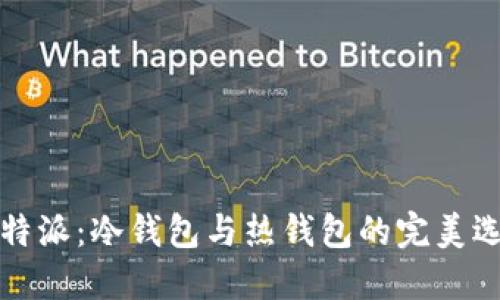 比特派：冷钱包与热钱包的完美选择