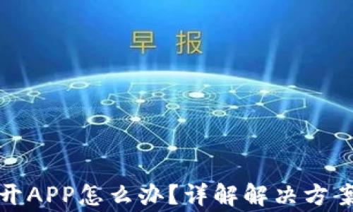 
TP钱包打不开APP怎么办？详解解决方案及常见问题