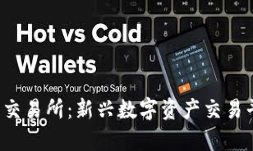 全面解析BitePro交易所：新兴数字资产交易平台的优势与挑战