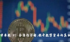 中本聪 PI 合法性详解：揭