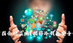 冷钱包截图会被盗吗？揭秘冷钱包安全性与风险