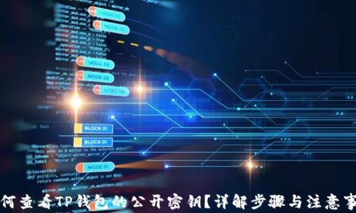
如何查看TP钱包的公开密钥？详解步骤与注意事项