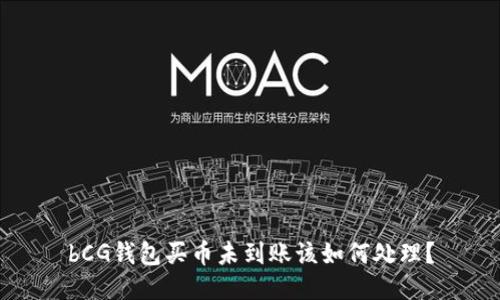 bCG钱包买币未到账该如何处理？