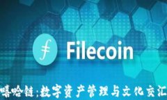TP钱包与嘻哈链：数字资产
