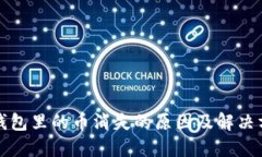 冷钱包里的币消失的原因及解决方案