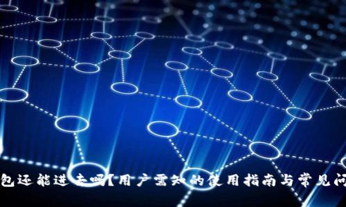 : TP钱包还能进去吗？用户需知的使用指南与常见问题分析