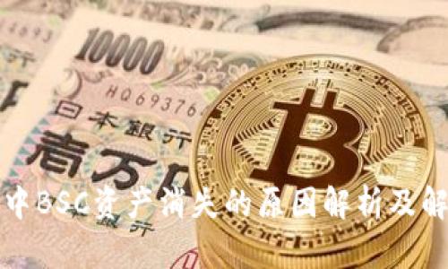 TP钱包中BSC资产消失的原因解析及解决方案