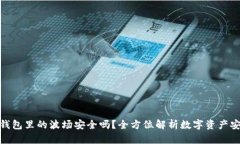 : TP钱包里的波场安全吗？