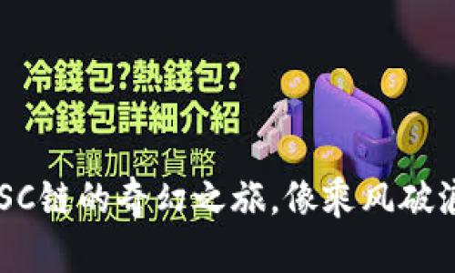 用TP钱包，畅游BSC链的奇幻之旅，像乘风破浪的海盗寻找宝藏