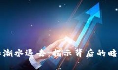 虚拟币暴跌如潮水退去：揭示背后的暗流与最新