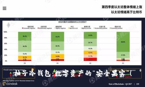 柚子冷钱包：数字资产的“安全果实”！