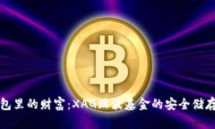 “冷钱包里的财富：XAG瑞波基金的安全储存比喻
