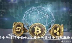 在数字货币的海洋中扬帆：选择你的靠谱冷钱包